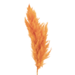 image masking services